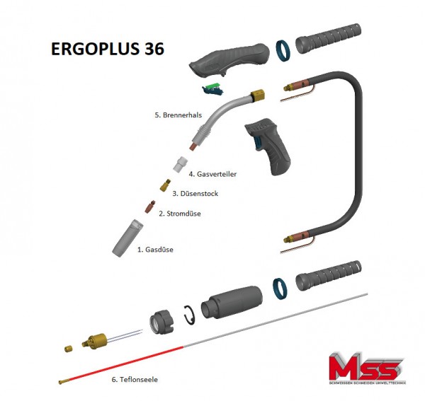 Aufbau-Ergoplus36
